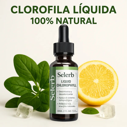 Clorofila Líquida Natural | Detox Y Bienestar Diario Selerb Menta