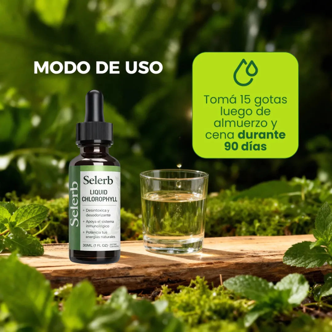 Clorofila Líquida Natural | Detox Y Bienestar Diario Selerb Menta