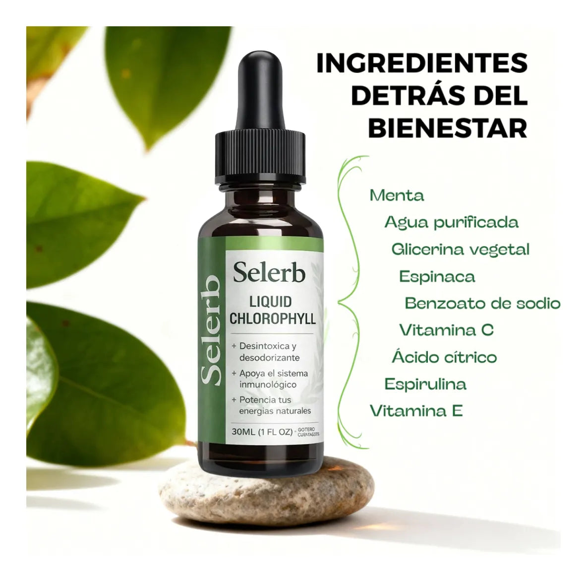 Clorofila Líquida Natural | Detox Y Bienestar Diario Selerb Menta